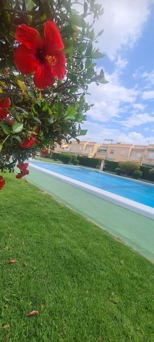 Bungalow Avec Piscine Торевьиа Экстерьер фото